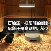 石油焦:被忽略的能源配角还是隐藏的污染大户(图2) 石油焦:被忽略的能源配角还是隐藏的污染大户(图2)