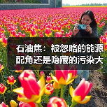 石油焦:被忽略的能源配角还是隐藏的污染大户(图3) 石油焦:被忽略的能源配角还是隐藏的污染大户(图3)