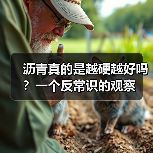 沥青真的是越硬越好吗?一个反常识的观察(图3) 沥青真的是越硬越好吗?一个反常识的观察(图3)