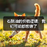 石脑油的价格逻辑,我们可能都想错了(图4) 石脑油的价格逻辑,我们可能都想错了(图4)