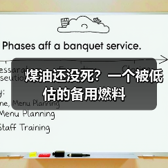 煤油还没死?一个被低估的备用燃料(图4) 煤油还没死?一个被低估的备用燃料(图4)