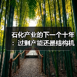 石化产业的下一个十年:过剩产能还是结构机遇?(图4) 石化产业的下一个十年:过剩产能还是结构机遇?(图4)