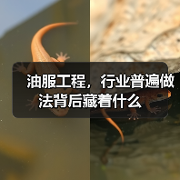油服工程，行业普遍做法背后藏着什么（图2）