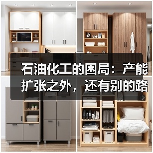 石油化工的困局:产能扩张之外,还有别的路吗?(图2) 石油化工的困局:产能扩张之外,还有别的路吗?(图2)
