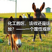 化工园区，该收还是该放？——一个理性观察