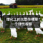 煤化工的出路在哪里？一个理性观察